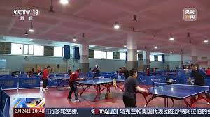 PA视讯(中国区) 世界乒乓球台数量
